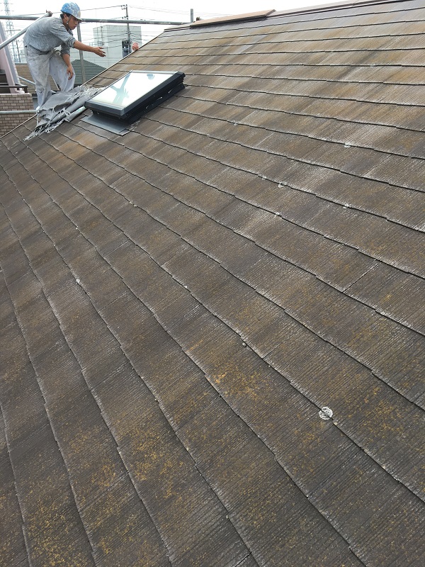 千葉県勝浦市　屋根塗装　天窓補修　雨漏り　現場調査
