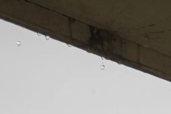 雨漏りはなぜ起こるの？原因や事前に防ぐポイントを解説！